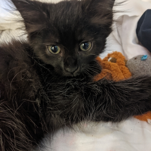 Meet your Posher, Debbee - Picture 13 of 13